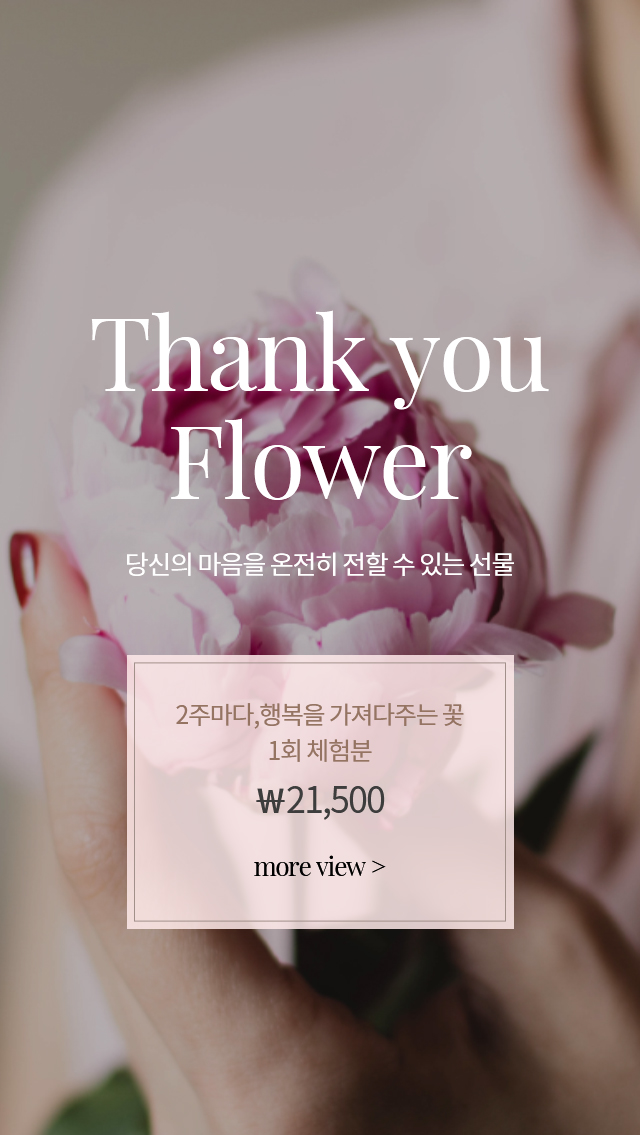 배너
